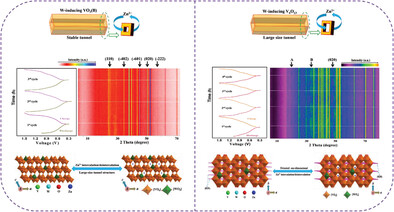 Regulating Zinc Storage Behaviors of Tunnel Structure Cathodes Via Tungsten Induction