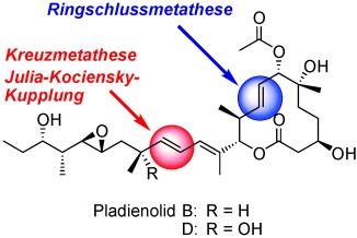 Total Synthesis of the Potent Antitumor Macrolides Pladienolide B and D