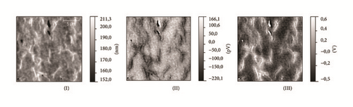 Details are in the caption following the image