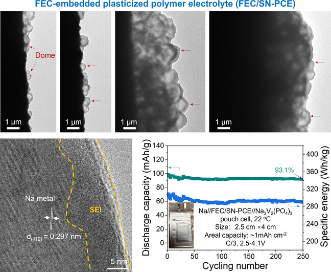 Making Plasticized Polymer Electrolytes Stable Against Sodium Metal for High-Energy Solid-State Sodium Batteries