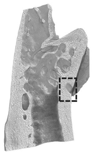 Details are in the caption following the image Details are in the caption following the image