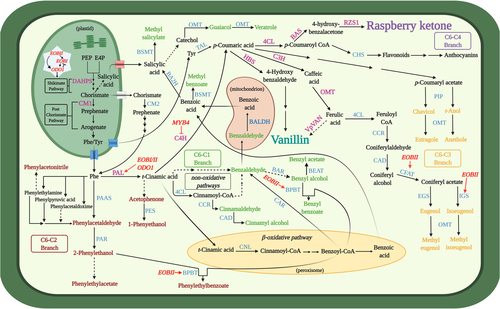 Details are in the caption following the image Details are in the caption following the image