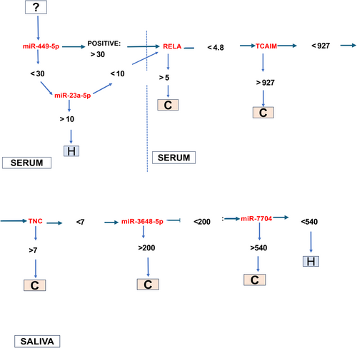 Details are in the caption following the image Details are in the caption following the image