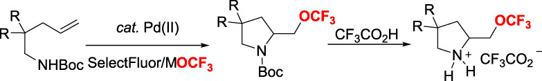 Palladium(II)-Catalyzed Aminotrifluoromethoxylation of Alkenes: Mechanistic Insight into the Effect of N-Protecting Groups