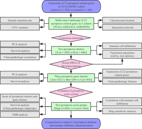 Pyroptosis patterns and immune infiltrates characterization in head and neck squamous cell carcinoma