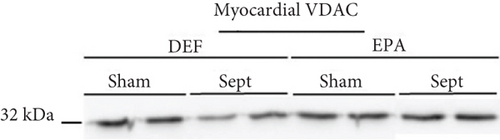 Details are in the caption following the image