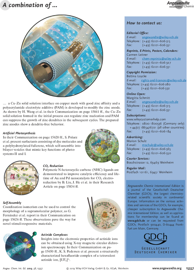 First page image