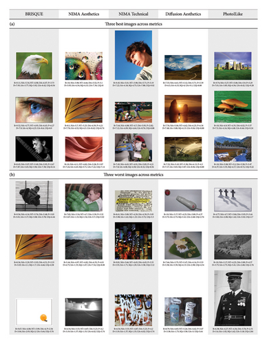 Details are in the caption following the image Details are in the caption following the image