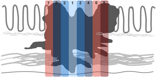 Details are in the caption following the image Details are in the caption following the image