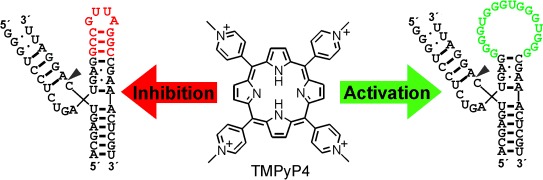 Turning Inhibitors into Activators: A Hammerhead Ribozyme Controlled by a Guanine Quadruplex