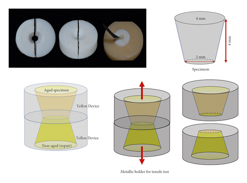 Details are in the caption following the image Details are in the caption following the image