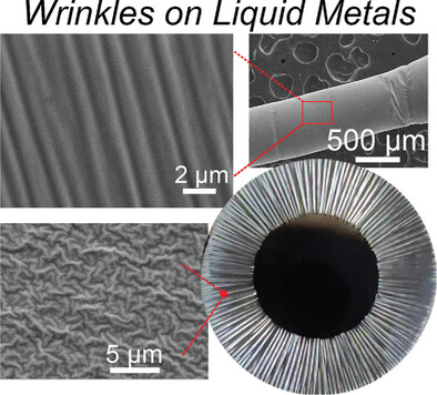 Electrochemical Oxidation to Fabricate Micro-Nano-Scale Surface Wrinkling of Liquid Metals