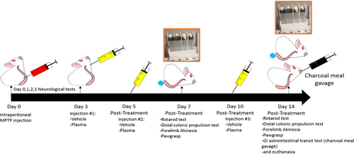 Details are in the caption following the image Details are in the caption following the image