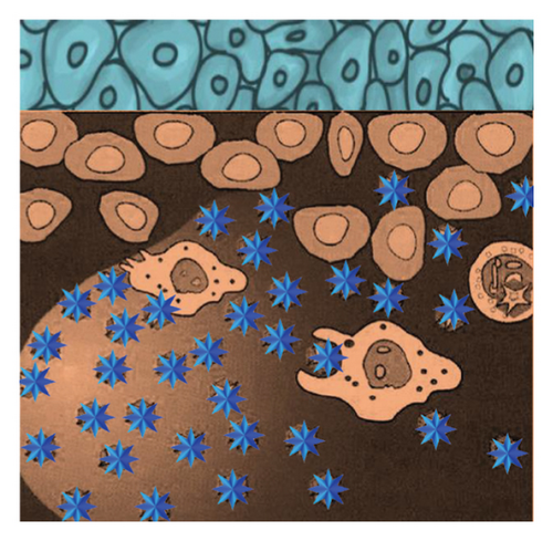 Details are in the caption following the image Details are in the caption following the image