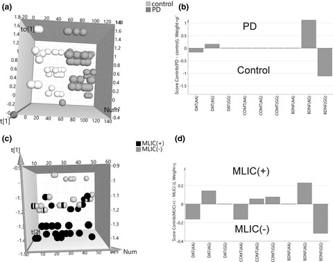 Gene polymorphisms and motor levodopa-induced complications in Parkinson's disease