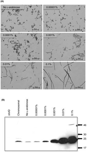 Details are in the caption following the image Details are in the caption following the image