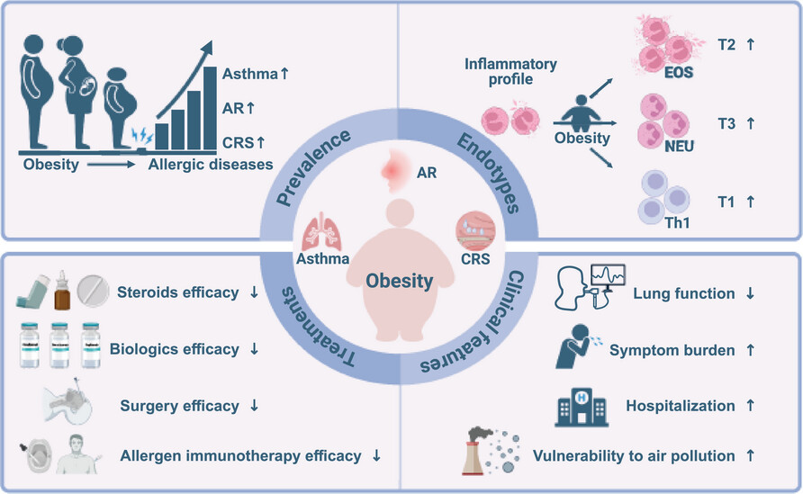 Obesity: Next game changer of allergic airway diseases?