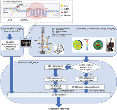 Perspectives on liquid biopsy for label-free detection of “circulating tumor cells” through intelligent lab-on-chips