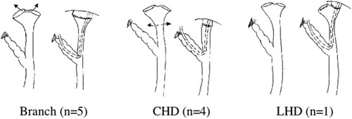 Details are in the caption following the image Details are in the caption following the image