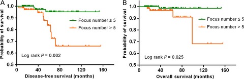 Application of a novel prognostic invasive lesion index in ductal carcinoma in situ with minimal invasion of the breast