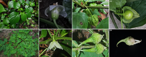 Details are in the caption following the image Details are in the caption following the image