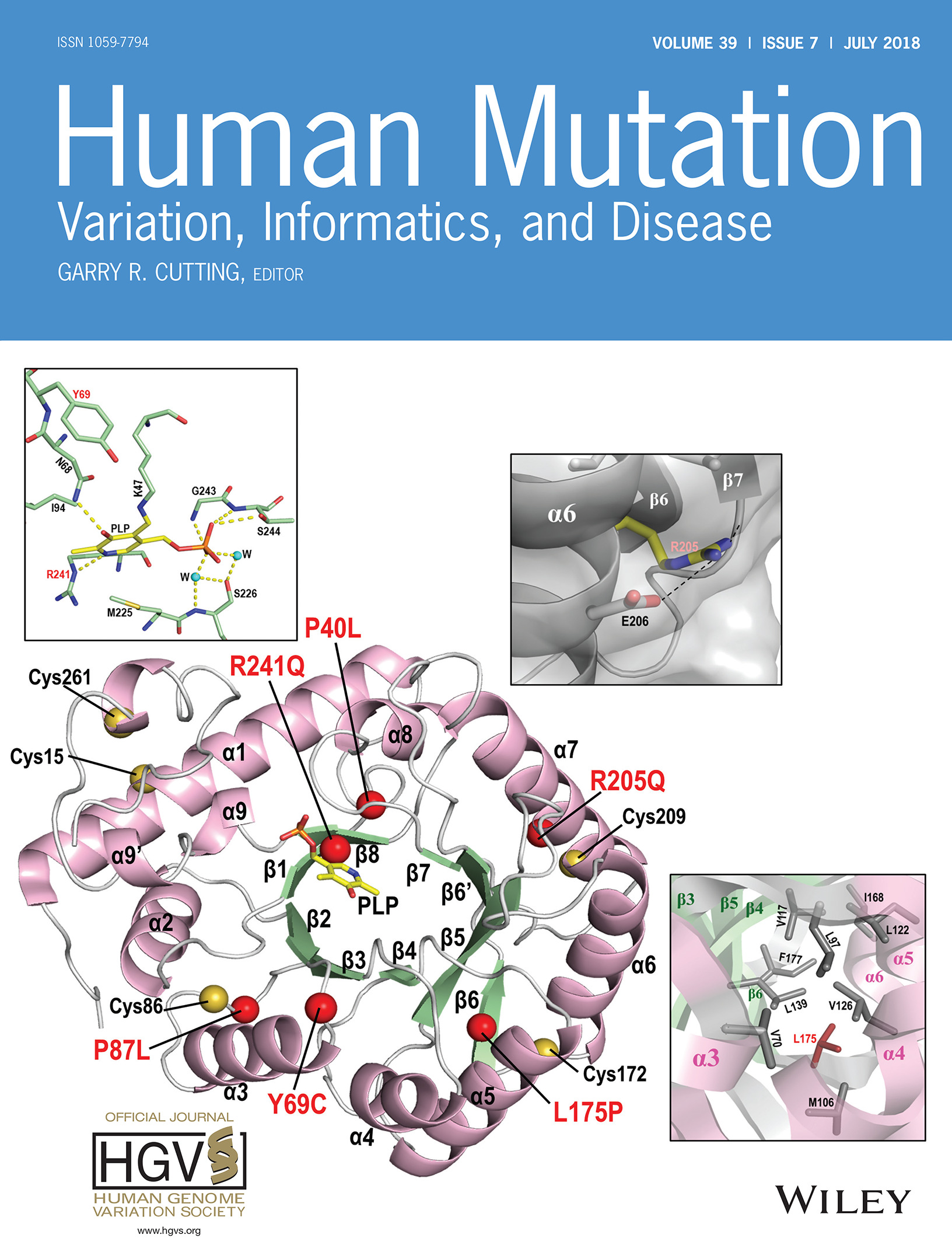Cover Image, Volume 39, Issue 7