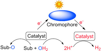 Hydrogen Production Coupled to Hydrocarbon Oxygenation from Photocatalytic Water Splitting