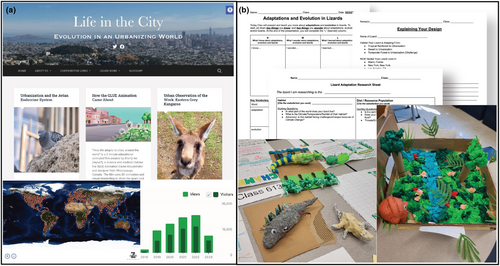 Details are in the caption following the image Details are in the caption following the image