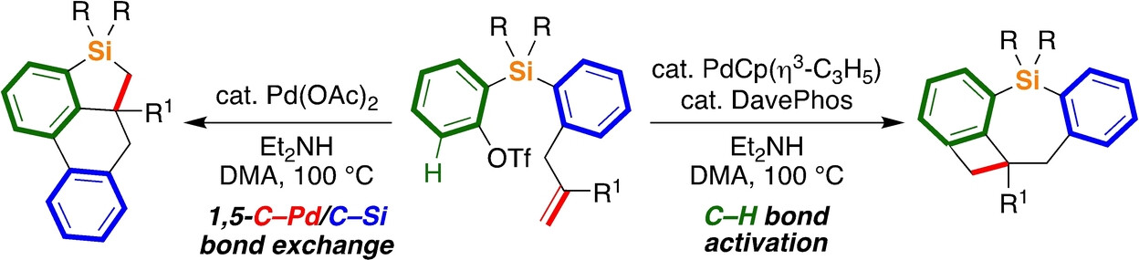 Palladium-Catalyzed Skeletal Rearrangement of Substituted 2-Silylaryl Triflates via 1,5-C−Pd/C−Si Bond Exchange