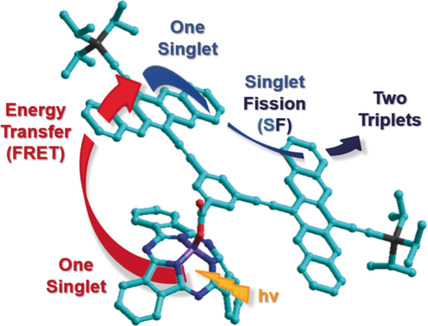 Tuning Intramolecular Förster Resonance Energy Transfer and Activating Intramolecular Singlet Fission