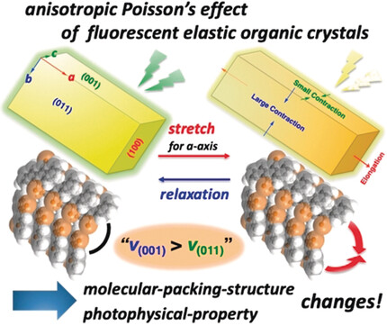 Anisotropic Poisson Effect and Deformation-Induced Fluorescence Change of Elastic 9,10-Dibromoanthracene Single Crystals