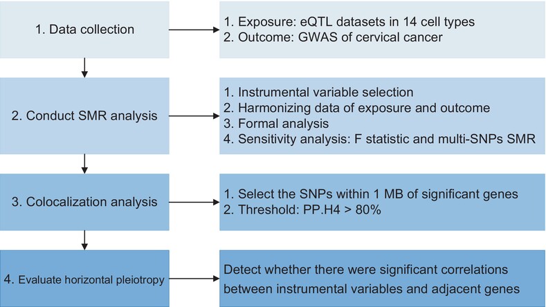 Revealing genes associated with cervical cancer in distinct immune cells: A comprehensive Mendelian randomization analysis