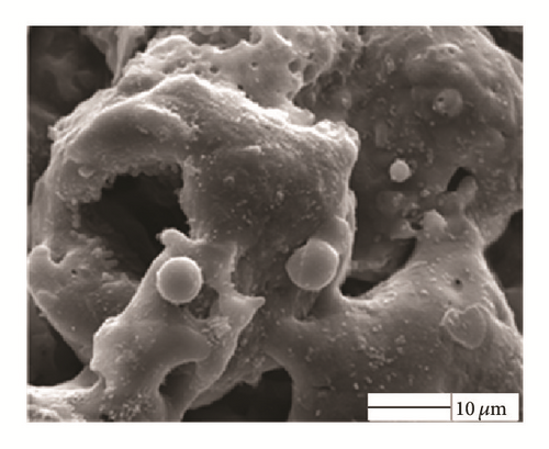 Details are in the caption following the image