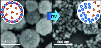 Electrostatic Assembly/Disassembly of Nanoscaled Colloidosomes for Light-Triggered Cargo Release