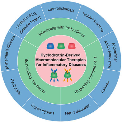 Cyclodextrin-Derived Macromolecular Therapies for Inflammatory Diseases