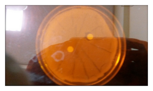 Details are in the caption following the image