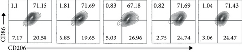 Details are in the caption following the image Details are in the caption following the image