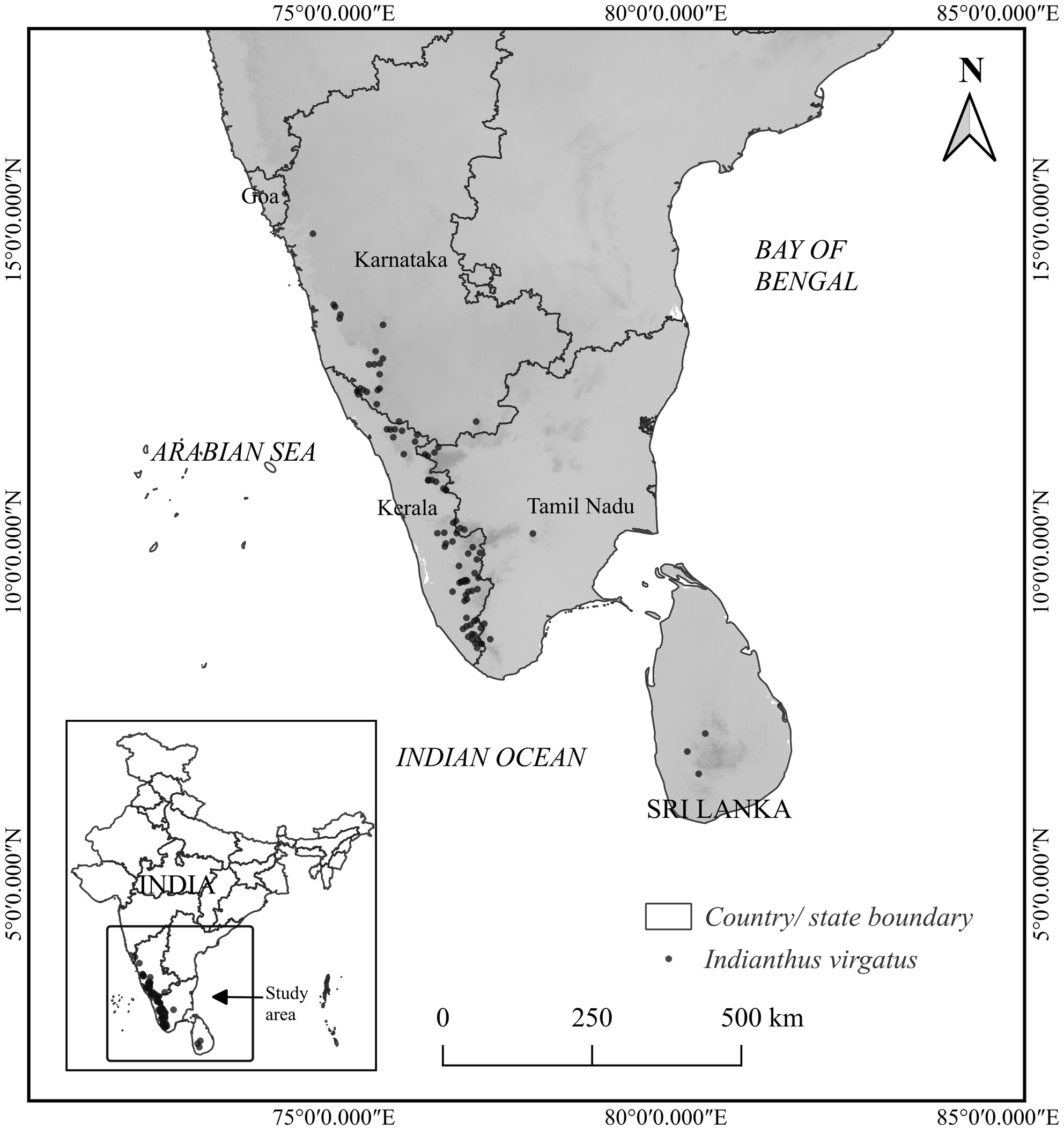 Modeling the Current and Future Distribution of Indianthus virgatus (Roxb.) Suksathan & Borchs.: A Monotypic Plant Endemic to the Western Ghats-Sri Lanka Biodiversity Hotspot