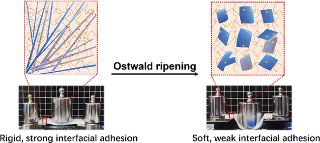 Ostwald ripening for designing time-dependent crystal hydrogels