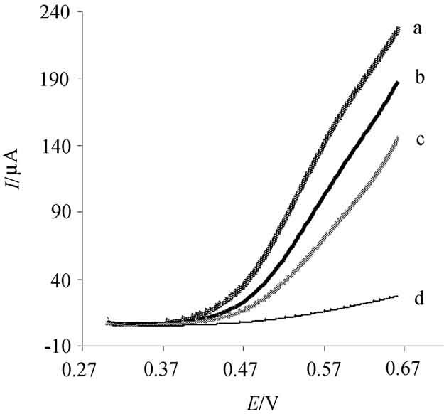 Kinetic Study of the Electro-Catalytic Oxidation of Hydrazine on Cobalt Hydroxide Modified Glassy Carbon Electrode