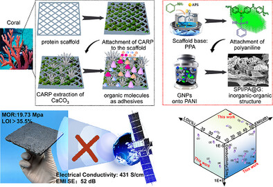 A Coral Shell-Inspired Biomimetic Soy Protein Adhesive Toward Electromagnetic Shielding Wood-Based Composites