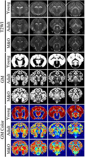 Details are in the caption following the image Details are in the caption following the image