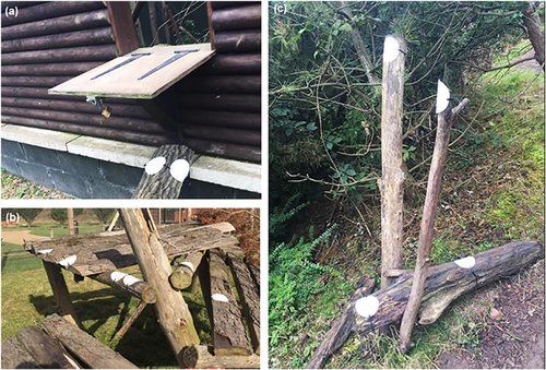 Details are in the caption following the image Details are in the caption following the image