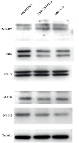 Details are in the caption following the image