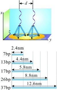 Programmable Engineering of a Biosensing Interface with Tetrahedral DNA Nanostructures for Ultrasensitive DNA Detection