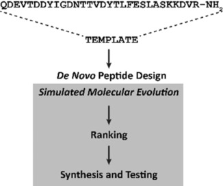 Identification of Chemokine Ligands by Biochemical Fragmentation and Simulated Peptide Evolution