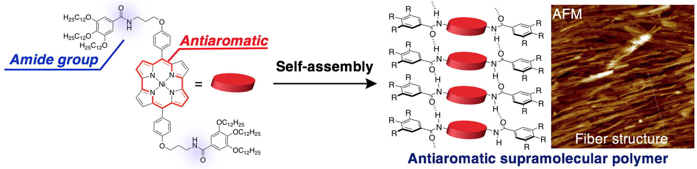 A Supramolecular Polymer Constituted of Antiaromatic NiII Norcorroles