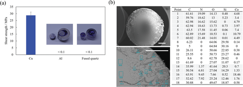 Details are in the caption following the image Details are in the caption following the image