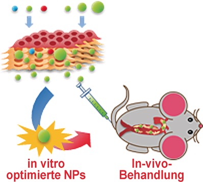 Use of Three-Dimensional Arterial Models To Predict the In Vivo Behavior of Nanoparticles for Drug Delivery