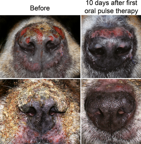 Details are in the caption following the image Details are in the caption following the image